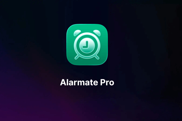What is included in Alarmate Pro?